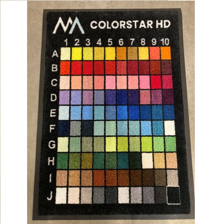 Ieejas kājslauķi - ColorStar HD